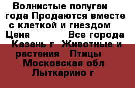 Волнистые попугаи, 2 года.Продаются вместе с клеткой и гнездом. › Цена ­ 2 800 - Все города, Казань г. Животные и растения » Птицы   . Московская обл.,Лыткарино г.